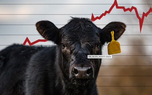 Navigating the Canadian Meat Market: A Comprehensive Insight into Cattle Trends